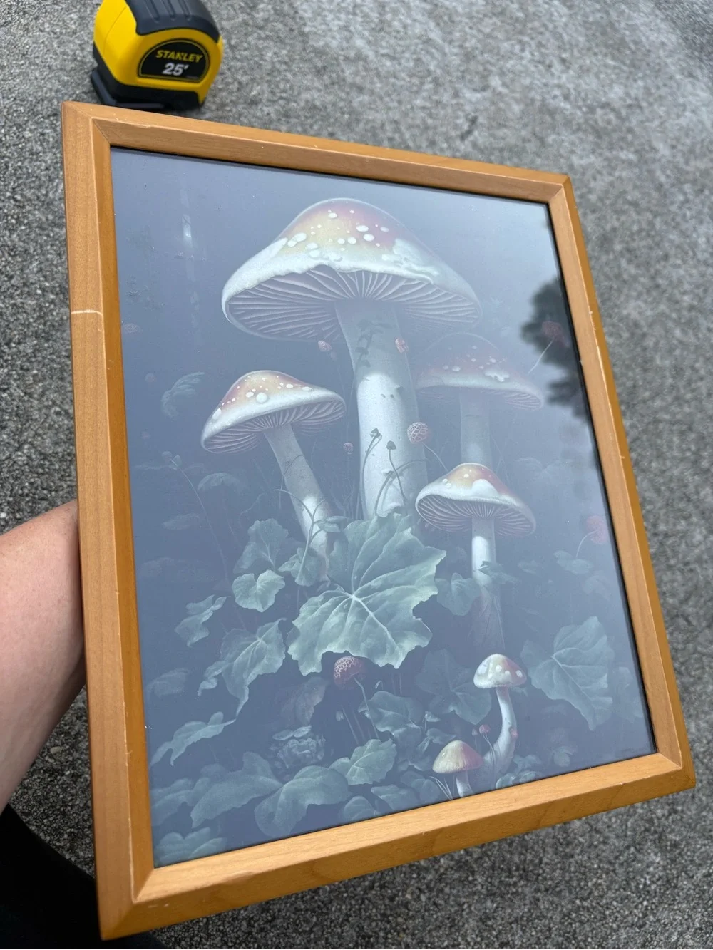 Vintage framed art print dark woodland scene dominated by large red mushrooms - Picture 3 of 11
